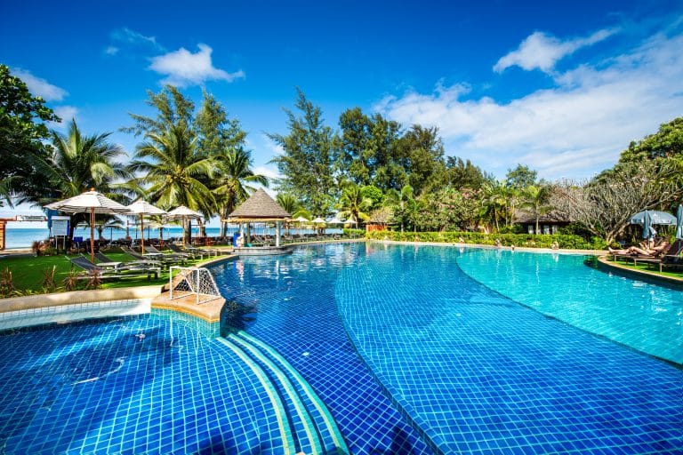 beautiful pool garden