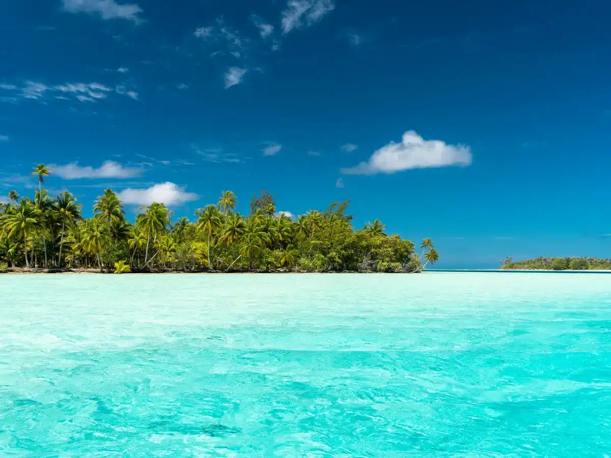 Clear turquoise lagoon beside a palm-lined white-sand beach under a blue sky